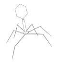 Animation
