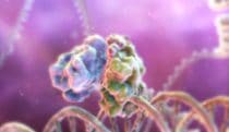 Reducing insulin resistance MOA