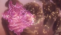 DHFR enzyme