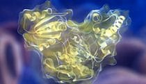 FPGS enzyme