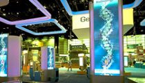 DNA installation art