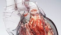 Glass heart