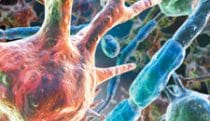 Glial cells
