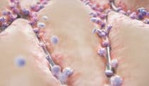 Platelet aggregation