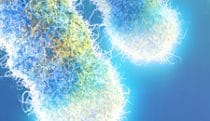Telomeres