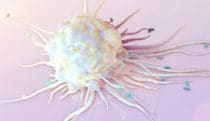 Macrophage engulfing pathogens