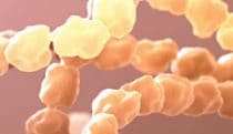 Dimer and proteins