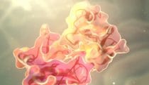 Enzyme catalysts