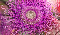 Vertex flowers