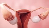 Ovulation