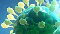 Influenza entering host cell