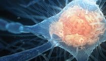 Synaptic potential