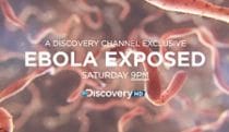 Ebola virus fly-through
