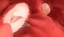 360° VR animation | Inside the heart