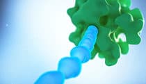 PEGylation in anti-cancer therapy MOA