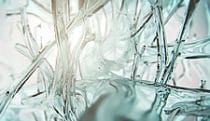 Bronchial glass