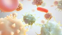 CAR T Cell Therapy