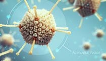 Adenoviral vaccine vector