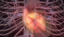 Interactive heart installation
