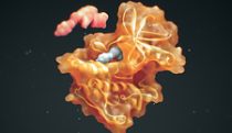 Tyrosine kinase inhibitor