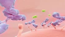 A virtual view of psoriasis