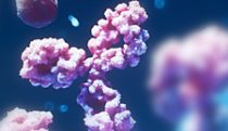 Monoclonal antibodies