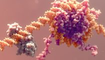 Targeting DNA methylation