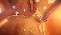 Fat cell enlargement